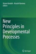 New Principles in Developmental Processes