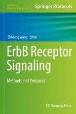 ErbB Receptor Signaling