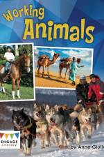 Working Animals af Anne Giulieri