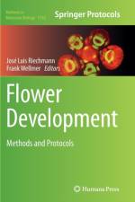 Flower Development