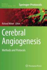 Cerebral Angiogenesis