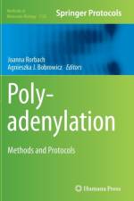 Polyadenylation