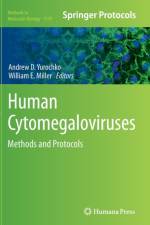 Human Cytomegaloviruses