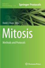 Mitosis