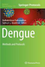 Dengue