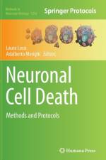 Neuronal Cell Death