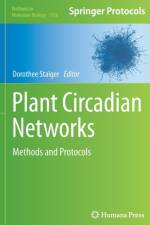 Plant Circadian Networks