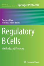Regulatory B Cells