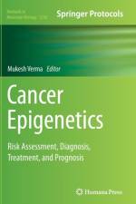 Cancer Epigenetics