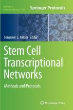Stem Cell Transcriptional Networks