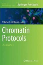 Chromatin Protocols