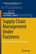 Supply Chain Management Under Fuzziness