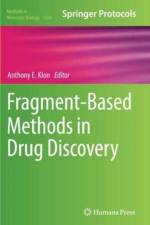 Fragment-Based Methods in Drug Discovery