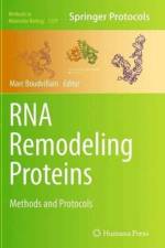 RNA Remodeling Proteins