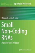 Small Non-Coding RNAs