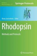 Rhodopsin