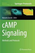 cAMP Signaling