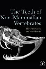 The Teeth of Non-Mammalian Vertebrates af Barry Berkovitz