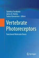 Vertebrate Photoreceptors