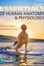 Essentials of Human Anatomy & Physiology af Elaine Marieb