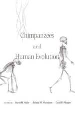 Chimpanzees and Human Evolution af Martin N. Muller