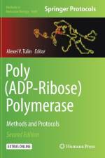 Poly(ADP-Ribose) Polymerase