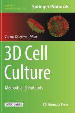 3D Cell Culture