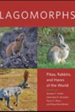 Lagomorphs