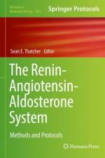 Renin-Angiotensin-Aldosterone System