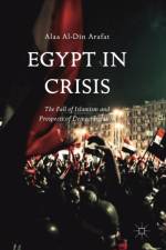 Egypt in Crisis af Alaa Al-Din Arafat