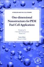 One-dimensional Nanostructures for PEM Fuel Cell Applications af Shangfeng (School of Chemical Engineering Du