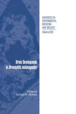 Brain Development in Drosophila melanogaster