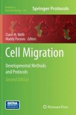 Cell Migration