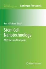 Stem Cell Nanotechnology