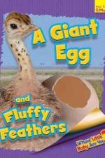 Whose Little Baby Are You? A Giant Egg and Fluffy Feathers