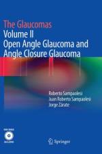The Glaucomas af Roberto Sampaolesi