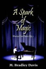 A Spark of Magic af M. Bradley Davis