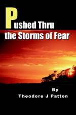 Pushed Thru the Storms of Fear af Theodore J Patton