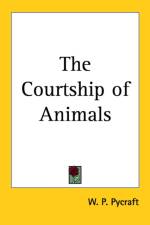 Courtship of Animals af W. P. Pycraft