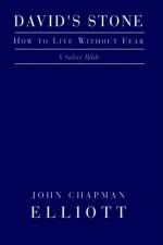 David's Stone - How to Live Without Fear af John C Elliott