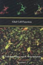 Glial Cell Function (Paperback) af B. Castellano Lopez