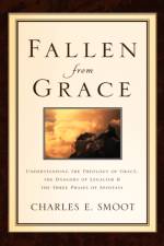 Fallen From Grace af Charles E Smoot