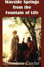 Wayside Springs from the Fountain of Life
