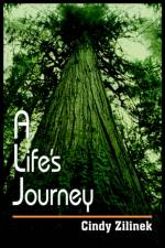 A Life's Journey af Cindy Zilinek