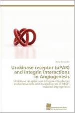 Urokinase receptor (uPAR) and integrin interactions in Angiogenesis af Revu Alexander