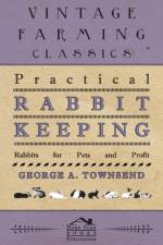 Practical Rabbit Keeping - Rabbits for Pets and Profit af G Townsend