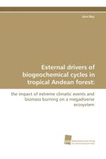 External Drivers of Biogeochemical Cycles in Tropical Andean Forest af Jens Boy