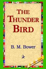 The Thunder Bird af B M Bower