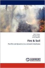 Fire & Soil af Richi Yadav