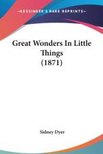 Great Wonders In Little Things (1871) af Sidney Dyer